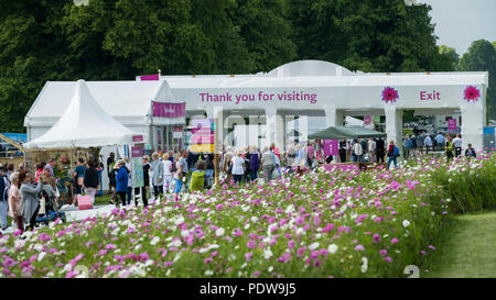 Home - Masse der Leute auf dem Weg zum Ausgang, vorbei an wunderschönen Display der Blüte cosmos-RHS Chatsworth Flower Show, Derbyshire, England, UK. Stockfoto