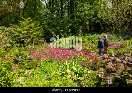 Großbritannien, Wales, Anglesey, Plas Cadnant versteckte Gärten, Besucher zu Fuß durch das Obere Tal Garten Stockfoto