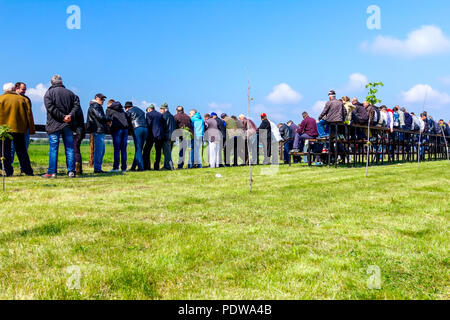 Chestereg, Vojvodina, Serbien - 30. April 2017: eine Gruppe von Menschen, meist Männer ist am öffentlichen Geschehen, Wettbewerb im Pferd Kraft gesammelt. Stockfoto