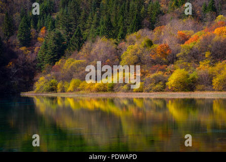 Tolle Aussicht von fünf Blume See (mehrfarbige See) in Jiuzhaigou, China Stockfoto