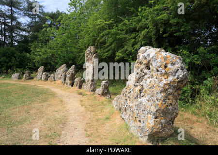 Die Könige Männer Steinkreis, Rollright Stones, in der Nähe von Chipping Norton, Oxfordshire, England. Stockfoto