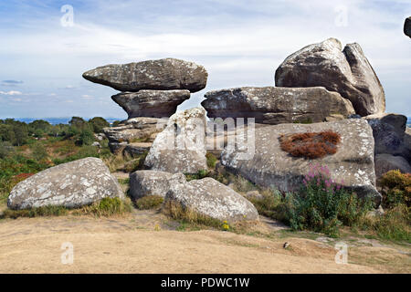 Brimham Rocks ist eine beeindruckende Sammlung von natürlichen Mühlstein Felsformationen in North Yorkshire, die von der National Trust verwaltet. Stockfoto