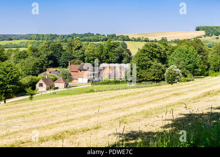 Weald und downland living museum Stockfoto