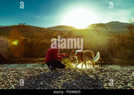 Hund und Mensch im Park Stockfoto