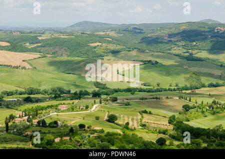 Einen herrlichen Blick auf die typische toskanische Landschaft im Val D'Orcia: Hügel, Wiesen und grünen Felder. Toskana, Italien, Europa Stockfoto