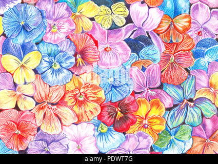 Hand Zeichnung mit aquarellstifte Blumen von Veilchen in verschiedenen Farben im Hintergrund Stockfoto