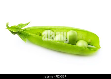 Ein pea Pod auf dem weißen Hintergrund Stockfoto