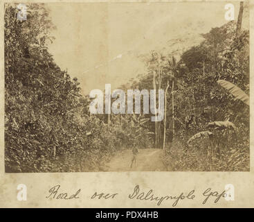 253 StateLibQld 1 235398 Straße durch den Pass an Dalrymple Lücke, in der Nähe von Ingham, Ca. 1881 Stockfoto