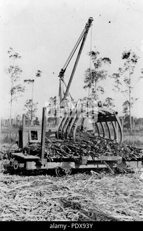 275 StateLibQld 1 85876 Zuckerrohr Ernte bei Victoria Mühle in Ingham, Ca. 1935 Stockfoto