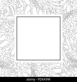 Chrysantheme Umrisse, Kiku japanische Blume Banner Karte. Vector Illustration. Stock Vektor