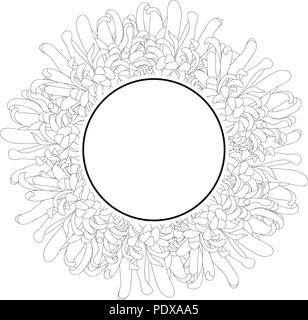 Chrysantheme Umrisse, Kiku japanische Blume Banner Kranz. Vector Illustration. Stock Vektor