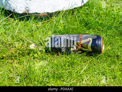 Leere Bierdose auf dem Gras verworfen. Stockfoto