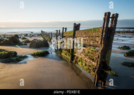 Der Strand an der Bucht am Fuße des Warren Folkestone, Kent, Großbritannien Verschleiß Stockfoto