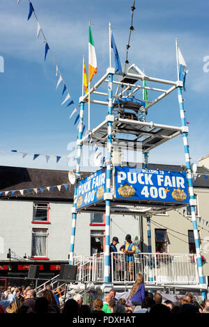 King Puck die wilde Ziege in seinem Käfig für die 3 Tage Aufenthalt auf den Bau während der Puck Fair - Irlands älteste traditionelle Messe. Irish Summer Festival Messe. Killorglin, County Kerry, Irland. Stockfoto