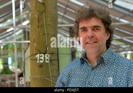 Freising, Deutschland. 07 Aug, 2018. Thorsten Gramm, Professor an der Technischen Universität München (TUM) steht in einem Testfeld für die Forschung von hitzebeständigen Bäume. (Dpa-KORR' Wald auf dem Trockenen - Forscher untersuchen Folgen "Wald auf dem Trockenen - Forscher untersuchen Folgen" von 11.08.2018) Credit: Peter Kneffel/dpa/Alamy leben Nachrichten Stockfoto