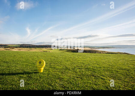Eine Nahaufnahme der Grünen bei Turnberry, Ayrshire, Schottland Stockfoto