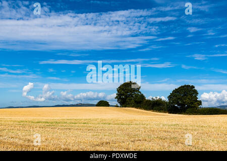 Seltsame Wolkenformationen über ein Weizenfeld in Wales Stockfoto