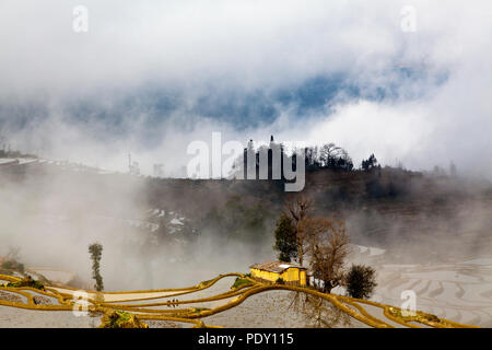 Reisterrassen in der bergigen Region Yuanyang in der südlichen Provinz Yunnan, China. Die Terrassen sind mit Wasser während der Wintermonate gefüllt Stockfoto