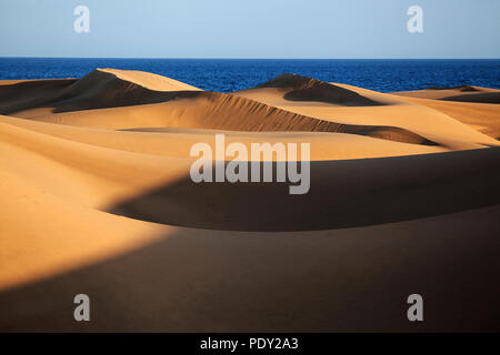 Dünenlandschaft, die Dünen von Maspalomas Dunas de Maspalomas, Naturschutzgebiet, Gran Canaria, Kanarische Inseln, Spanien Stockfoto