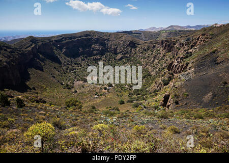 Blick in den Vulkankrater Caldera de Bandama, Naturpark, in der Nähe von Tafira, Gran Canaria, Kanarische Inseln, Spanien Stockfoto