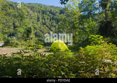 Nasse camping gelbe Zelt nach dem Regen in den Wald Stockfoto