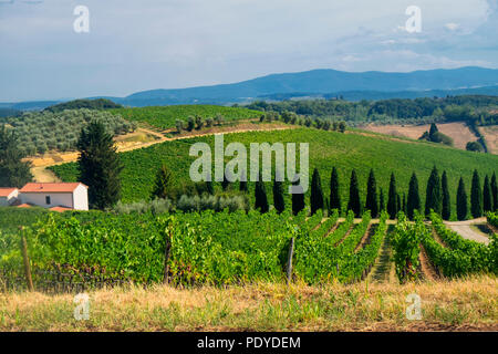 Typische Landschaft in der Region Chianti, Toskana, Italien, an der Straße von Castellina in Poggibonsi Stockfoto