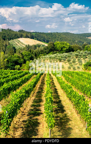 Typische Landschaft in der Region Chianti, Toskana, Italien, an der Straße von Castellina in Poggibonsi Stockfoto