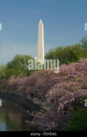 Washington Monument, Wahrzeichen, Washington D.C. fröhliche Blossom Festival Stockfoto