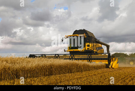 Moderne Maschinen Ernten ein Feld von Hafer auf einem hellen sonnigen Morgen im Sommer am 10. August 2018 in Beverley, Yorkshire, Großbritannien. Stockfoto