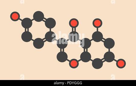 Genistein isoflavone Molekül. Stilisierte Skelett Formel (die chemische Struktur): Atome werden gezeigt, wie farbige Kreise: Wasserstoff (versteckt), Kohlenstoff (grau), Sauerstoff (rot). Stockfoto