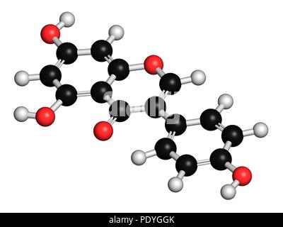 Genistein isoflavone Molekül. 3D-Rendering. Atome sind vertreten als Kugeln mit konventionellen Farbcodierung: Wasserstoff (weiß) Carbon (Schwarz), Sauerstoff (rot). Stockfoto