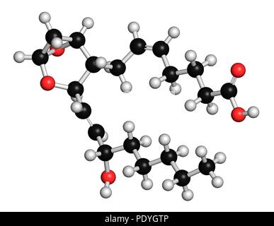Thromboxan A2 (TXA2) Molekül. 3D-Rendering. Atome sind vertreten als Kugeln mit konventionellen Farbcodierung: Wasserstoff (weiß) Carbon (Schwarz), Sauerstoff (rot). Stockfoto