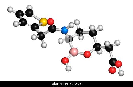 Vaborbactam Droge Molekül. Beta-Lactamase-Inhibitor mit meropenem Verschlechterung der Letzteren durch carbapenemase Enzyme zu blockieren, verwaltet. 3D-Rendering. Atome sind vertreten als Kugeln mit konventionellen Farbcodierung: Wasserstoff (weiß) Carbon (Schwarz), Stickstoff (blau), Sauerstoff (rot), Schwefel (Gelb), Bor (rosa). Stockfoto