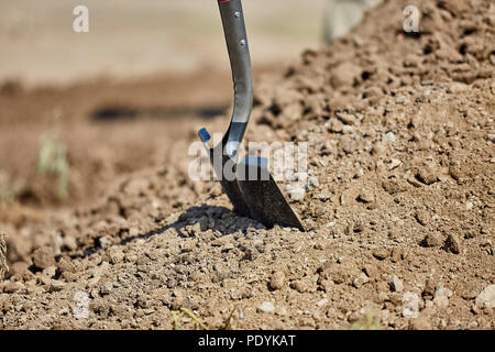 Nahaufnahme von einer Schaufel in einen Erdhaufen klemmt Stockfoto