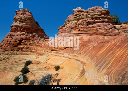 AZ 00246-00 ... ARIZONA - Bunte Buttes in Cottonwood Cove in der Coyote Buttes South erlauben Bereich des Paria Canyon - Vermilion Wilderness Area. Stockfoto