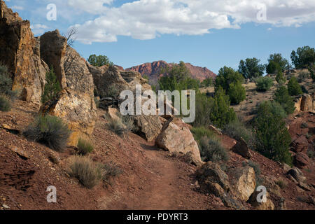 AZ 00250-00 ... ARIZONA - Weg im Labyrinth Rock Kunst in der Paria Canyon - Vermilion Cliffs Wilderness mit Coyote Buttes in der Ferne. Stockfoto