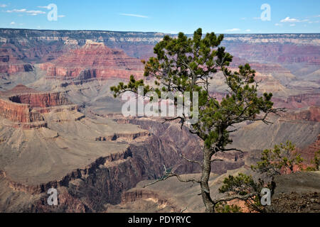 AZ 00266-00 ... Arizona - Blick auf den Colorado River aus dem Canyon Rim in der Nähe Pima Punkt entlang der Einsiedler Straße in Grand Canyon National Park. Stockfoto