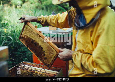 Aus Honig von Hive am Bienenhaus Stockfoto