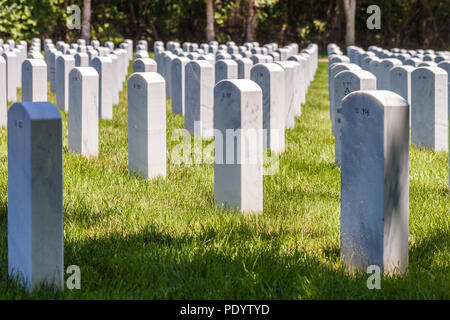 Blick auf die Grabsteine im Camp Butler National Cemetery, amerikanische militärische Begräbnisstätte Stockfoto