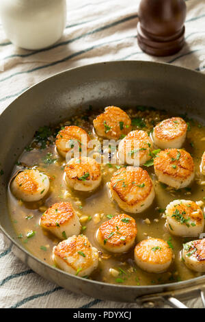 Geschwenkt gebratene Jakobsmuscheln in Brühe bereit zu Essen Stockfoto