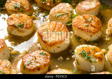 Geschwenkt gebratene Jakobsmuscheln in Brühe bereit zu Essen Stockfoto