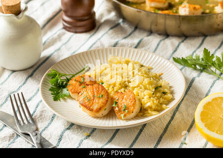 Geschwenkt gebratene Jakobsmuscheln in Brühe bereit zu Essen Stockfoto