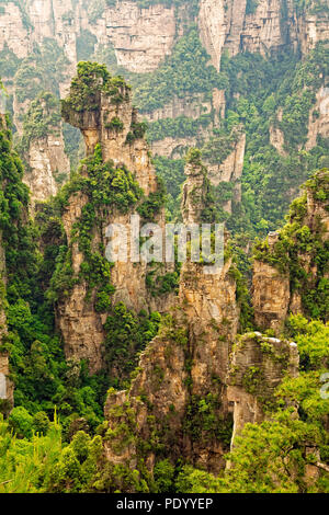 Die vertikale Felsformationen von Zhangjiajie National Forest Park, Hunan Province, China Stockfoto