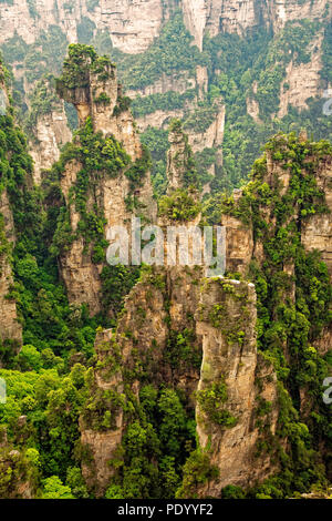 Die vertikale Felsformationen von Zhangjiajie National Forest Park, Hunan Province, China Stockfoto