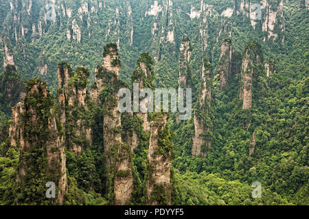 Dianjiang Terrasse Felsformationen in den Bergen Tianzi, Teil der Zhangjiajie National Forest Park, Hunan China Stockfoto