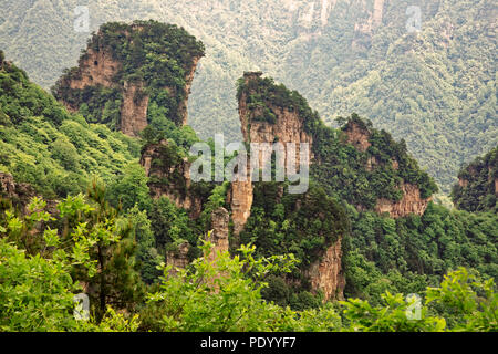 Felsformationen in den Bergen Tianzi, Teil der Zhangjiajie National Forest Park, Hunan China Stockfoto