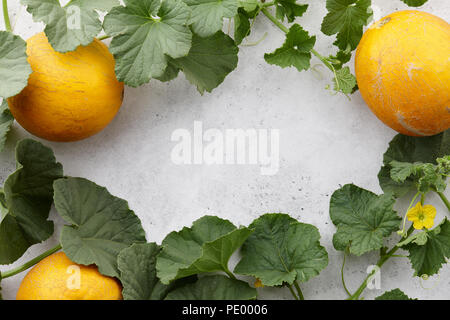 Frische gelb Melonen und blühenden Reben auf weißen Stein Hintergrund Stockfoto