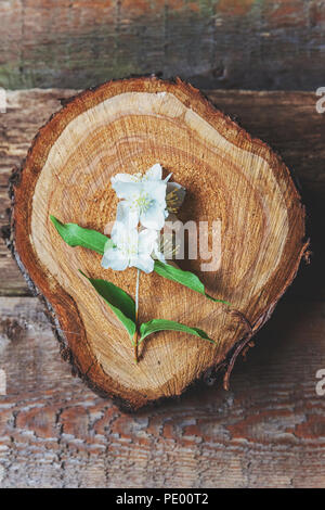 Die weißen Blüten des Jasmin auf Braun alte hölzerne Hintergrund Stockfoto