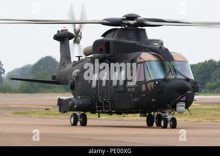 HH-101 Caesar Stockfoto