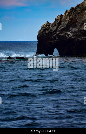 Felsformationen aus Anacapa Island im Channel Islands National Park in Kalifornien Stockfoto